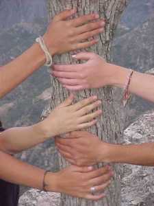 friendship_tree_image
